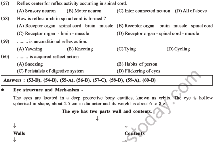 NEET Biology Morphology of Plants MCQs Set B-62