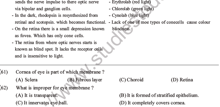 NEET Biology Morphology of Plants MCQs Set B-65