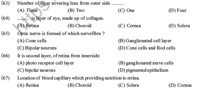 NEET Biology Morphology of Plants MCQs Set B-66