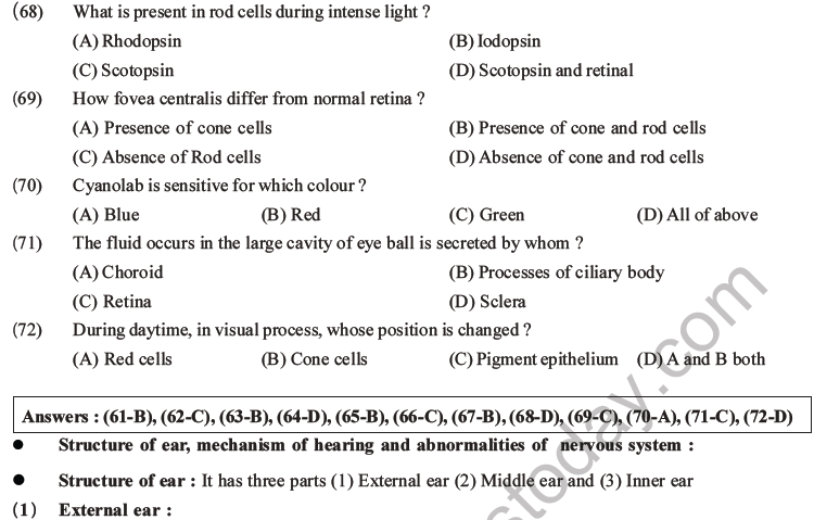 NEET Biology Morphology of Plants MCQs Set B-67