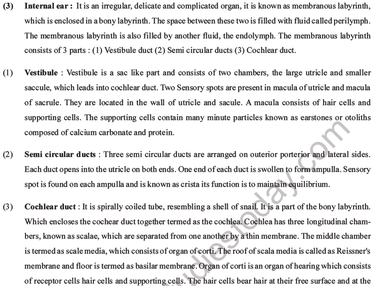 NEET Biology Morphology of Plants MCQs Set B-70