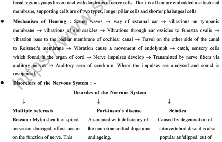 NEET Biology Morphology of Plants MCQs Set B-71