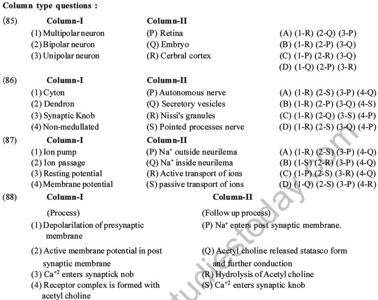 NEET Biology Morphology of Plants MCQs Set B-74