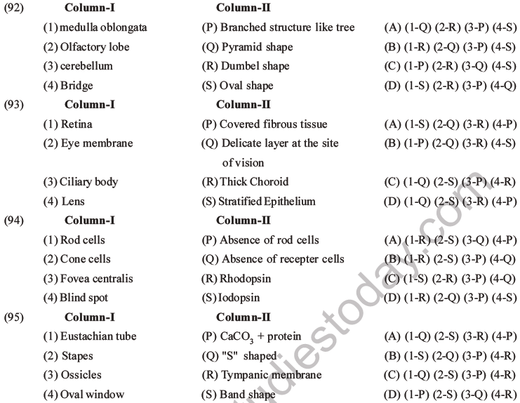 NEET Biology Morphology of Plants MCQs Set B-76