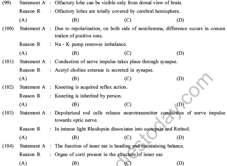 NEET Biology Morphology of Plants MCQs Set B-78