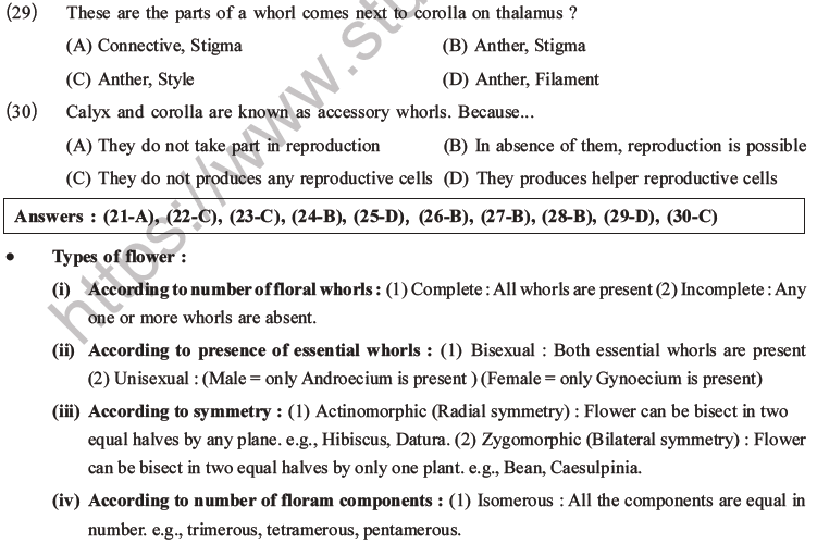 NEET Biology Morphology of Plants MCQs Set B-8