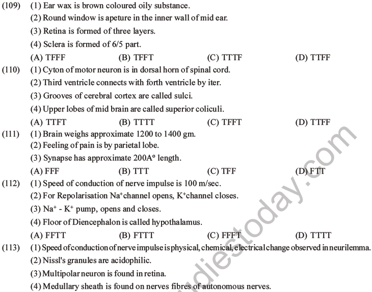 NEET Biology Morphology of Plants MCQs Set B-80