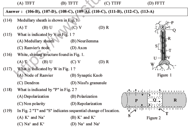 NEET Biology Morphology of Plants MCQs Set B-81