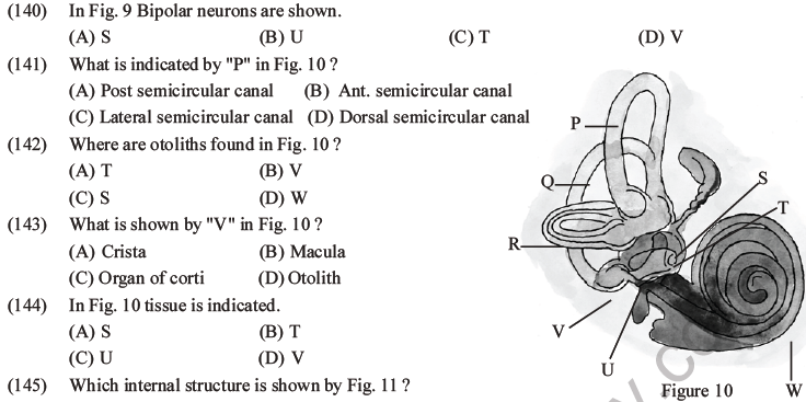 NEET Biology Morphology of Plants MCQs Set B-86