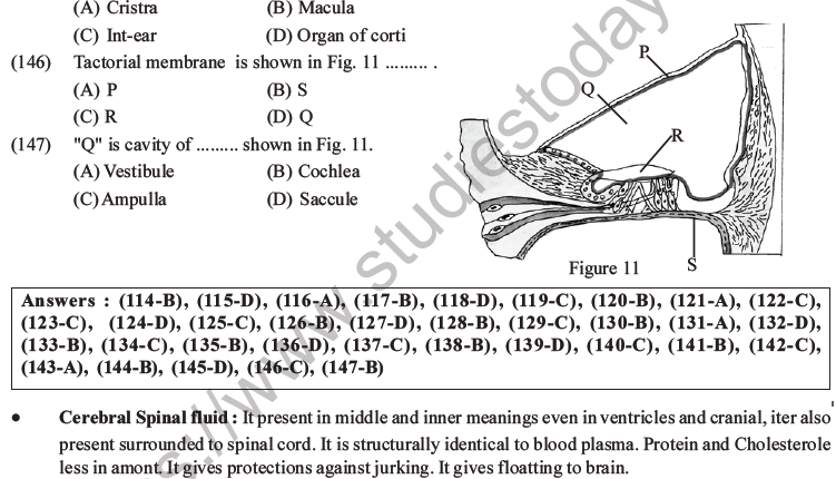 NEET Biology Morphology of Plants MCQs Set B-87