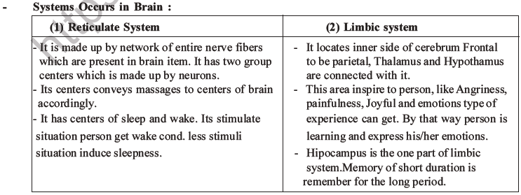 NEET Biology Morphology of Plants MCQs Set B-88