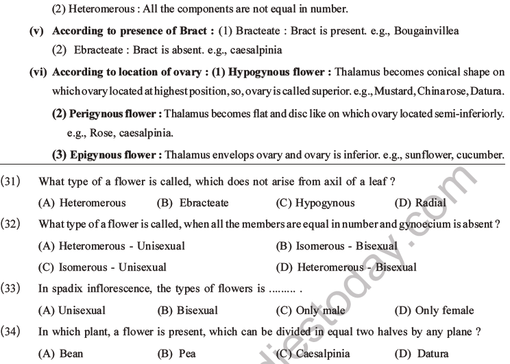 NEET Biology Morphology of Plants MCQs Set B-9