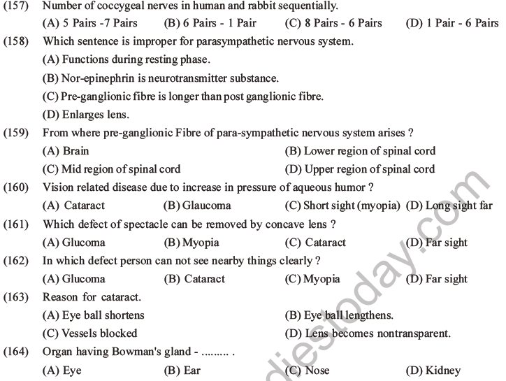 NEET Biology Morphology of Plants MCQs Set B-93