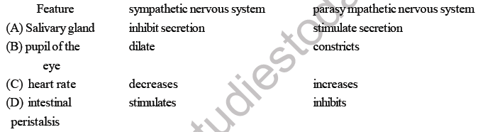 NEET Biology Neural Control and Coordination MCQs Set B-Q121