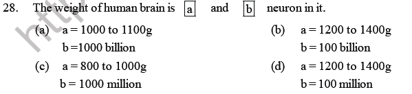 NEET Biology Neural Control and Coordination MCQs Set B-Q28