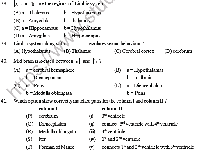 NEET Biology Neural Control and Coordination MCQs Set B-Qus