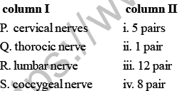 NEET Biology Neural Control and Coordination MCQs Set B-Quss