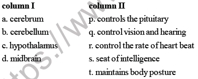 NEET Biology Neural Control and Coordination MCQs Set B-Qusss