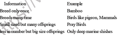 NEET Biology Organism and Population MCQs Set B-Q78