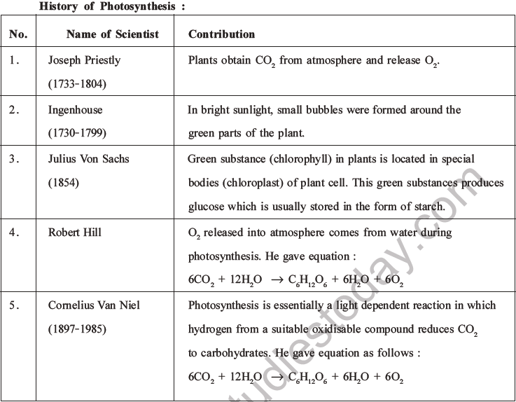 NEET Biology Photosynthesis MCQs Set A-1