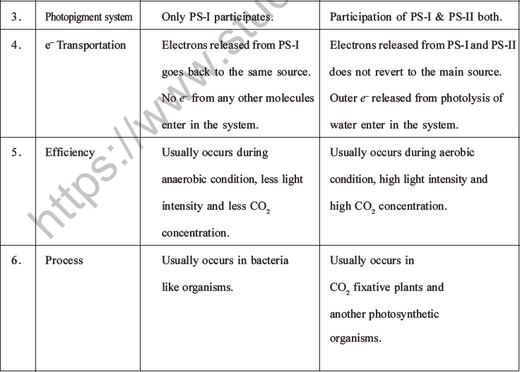 NEET Biology Photosynthesis MCQs Set A-12