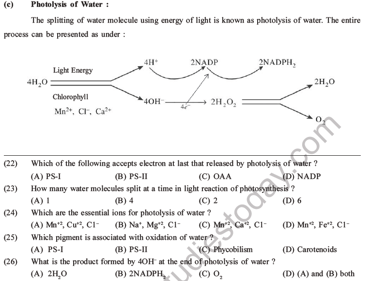 NEET Biology Photosynthesis MCQs Set A-13