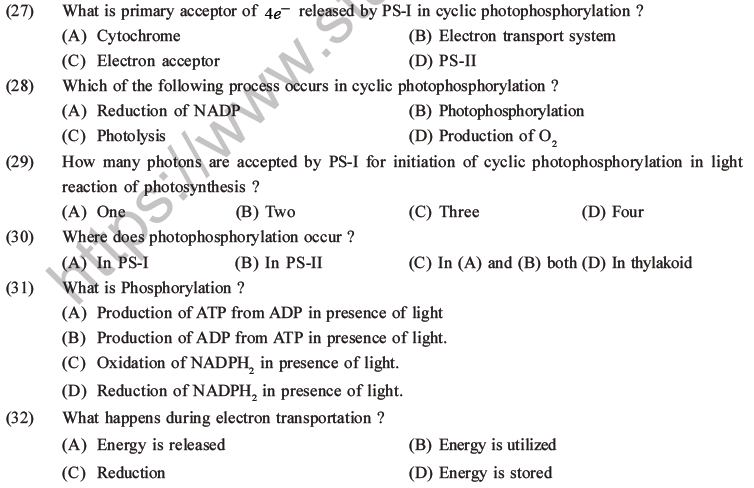 NEET Biology Photosynthesis MCQs Set A-14