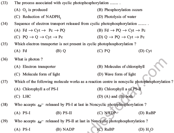 NEET Biology Photosynthesis MCQs Set A-15