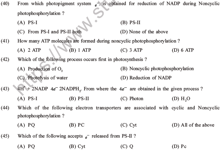 NEET Biology Photosynthesis MCQs Set A-16