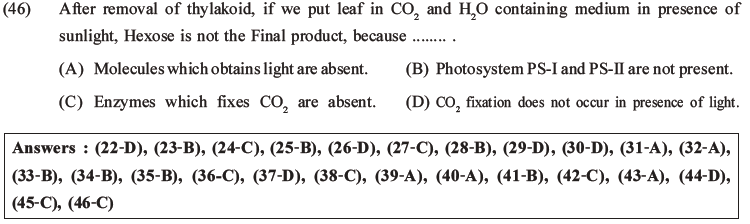 NEET Biology Photosynthesis MCQs Set A-17