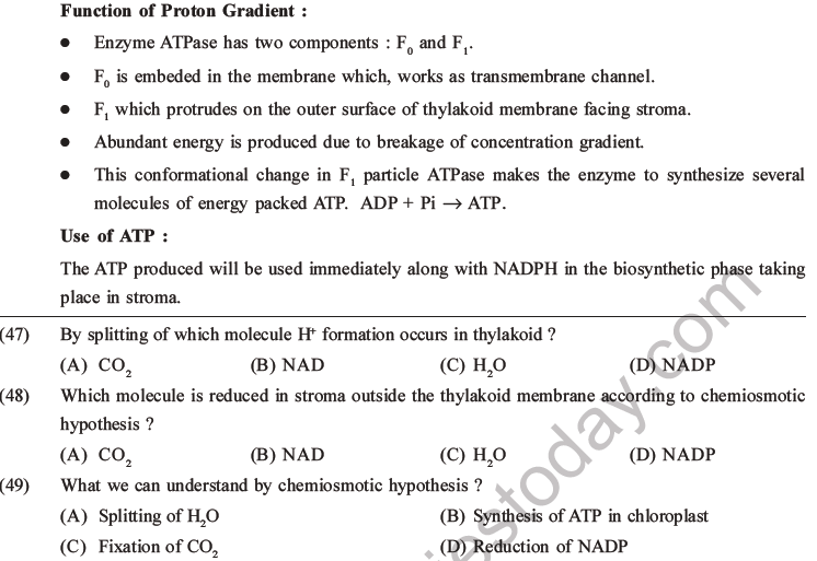 NEET Biology Photosynthesis MCQs Set A-20