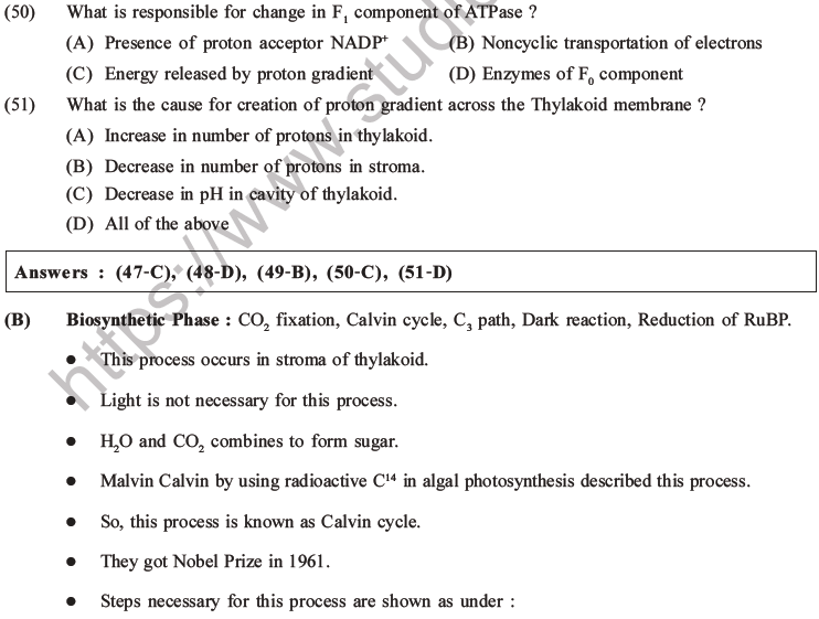 NEET Biology Photosynthesis MCQs Set A-21