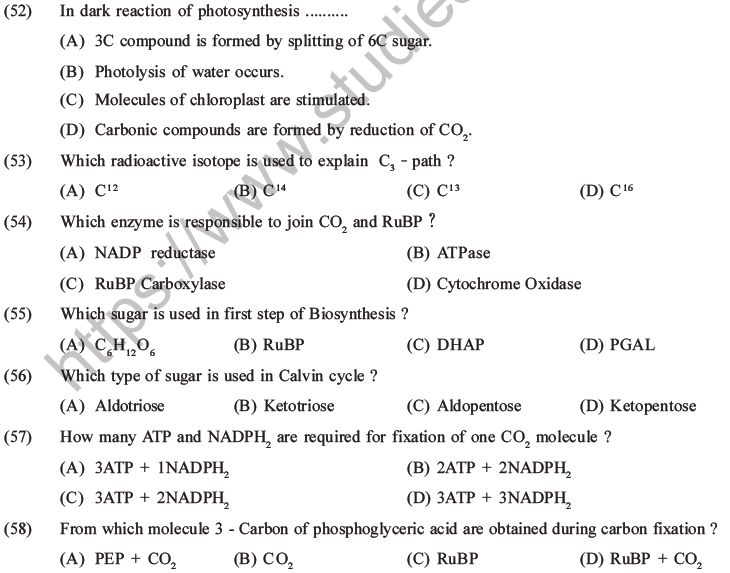 NEET Biology Photosynthesis MCQs Set A-25