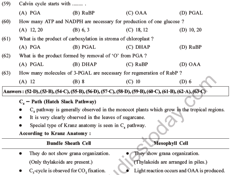 NEET Biology Photosynthesis MCQs Set A-26