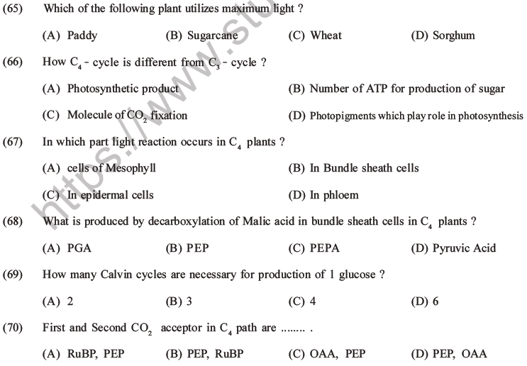 NEET Biology Photosynthesis MCQs Set A-29