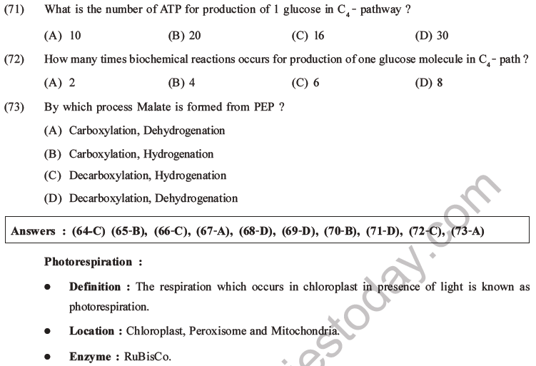 NEET Biology Photosynthesis MCQs Set A-30