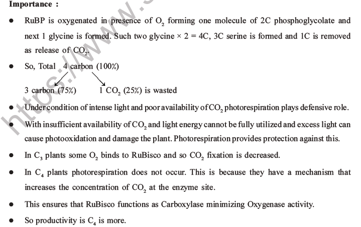 NEET Biology Photosynthesis MCQs Set A-33