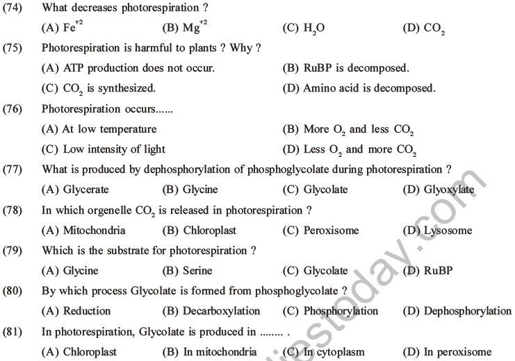 NEET Biology Photosynthesis MCQs Set A-34