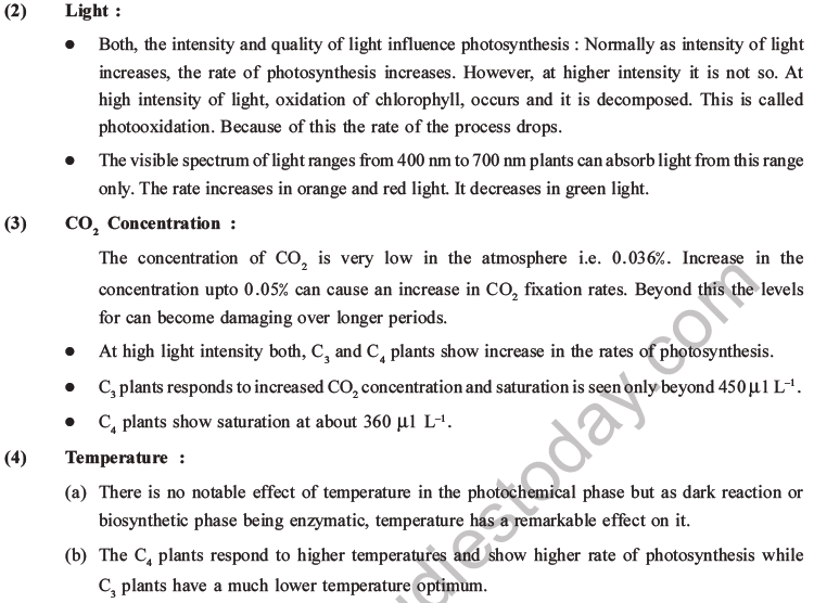 NEET Biology Photosynthesis MCQs Set A-36
