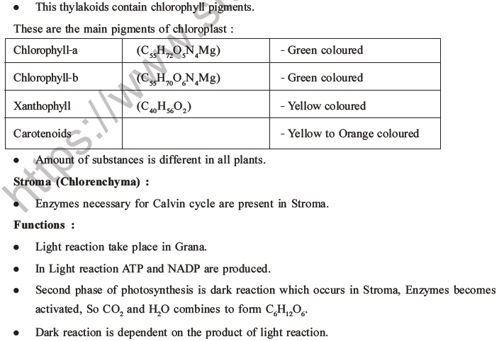 NEET Biology Photosynthesis MCQs Set A-4