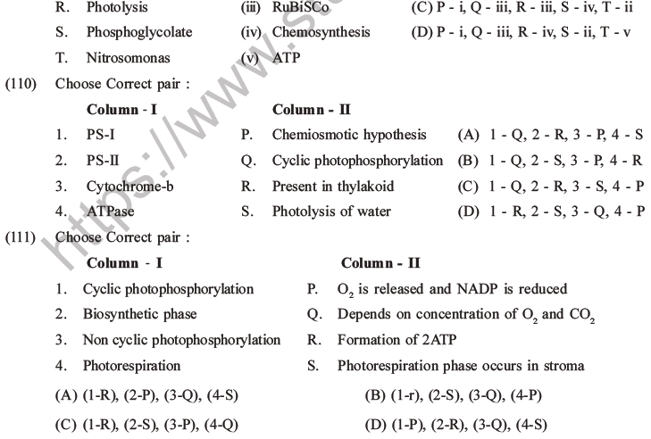 NEET Biology Photosynthesis MCQs Set A-43