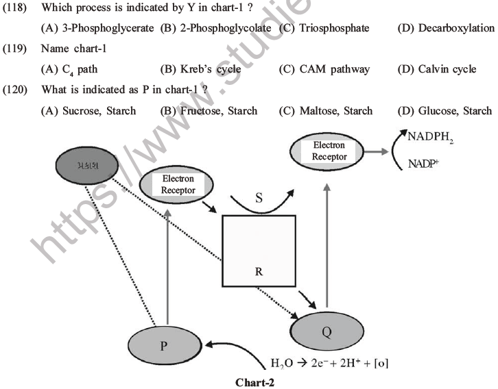 NEET Biology Photosynthesis MCQs Set A-48
