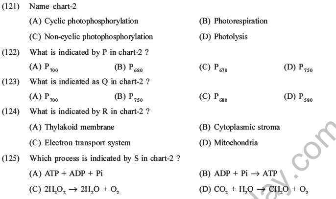 NEET Biology Photosynthesis MCQs Set A-49