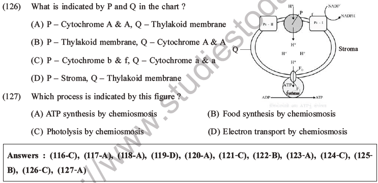 NEET Biology Photosynthesis MCQs Set A-50