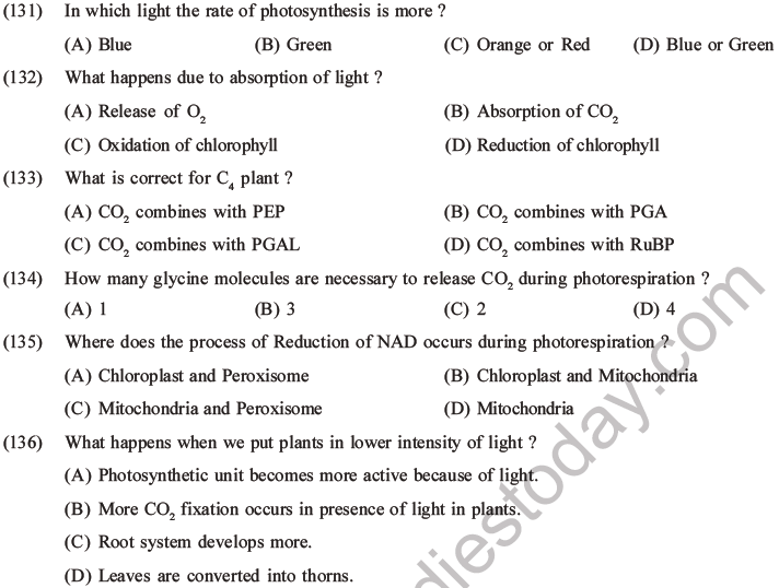 NEET Biology Photosynthesis MCQs Set A-52