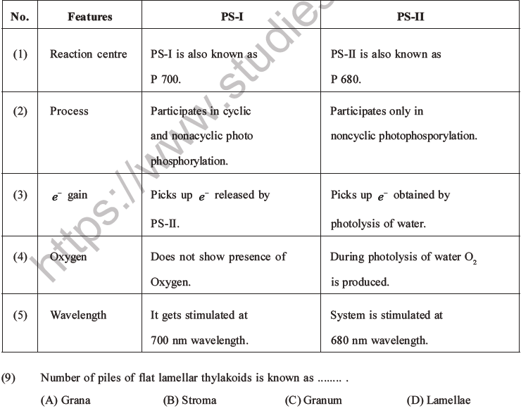 NEET Biology Photosynthesis MCQs Set A-6