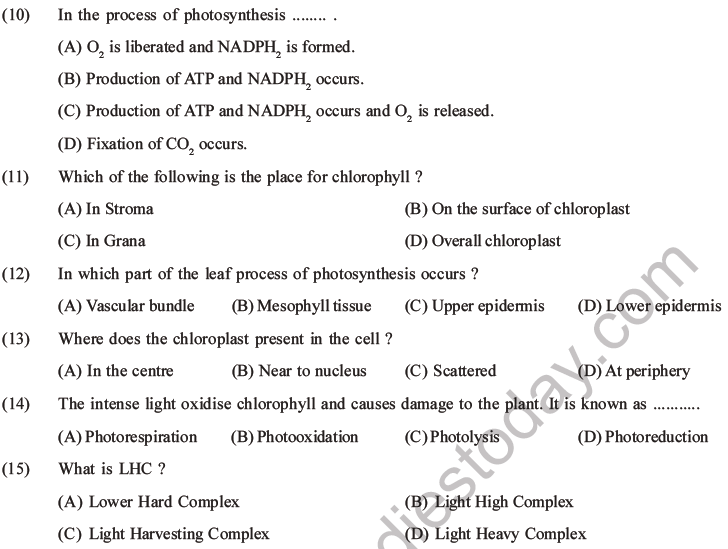 NEET Biology Photosynthesis MCQs Set A-7