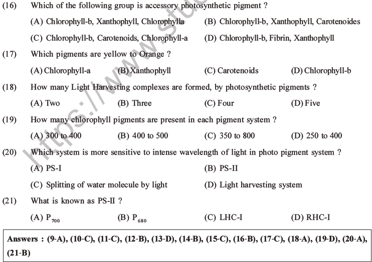 NEET Biology Photosynthesis MCQs Set A-8