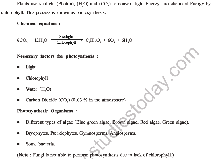 NEET Biology Photosynthesis MCQs Set A