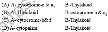 NEET Biology Photosynthesis MCQs Set B-2